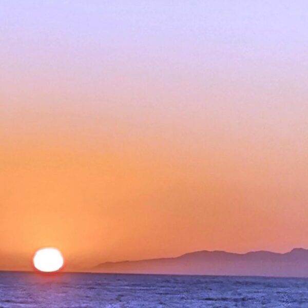 Custom order for Michele